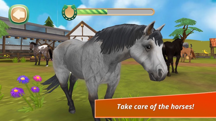 Horse Hotel - care for horses