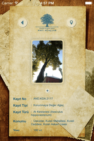 Anıt Ağaçlar - Anadolu - náhled