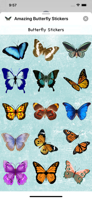 Amazing Butterfly Stickers