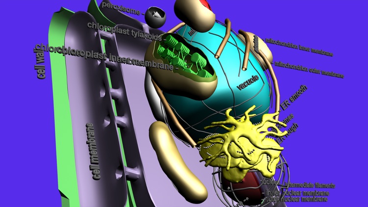 Cell Structure in 3D screenshot-0