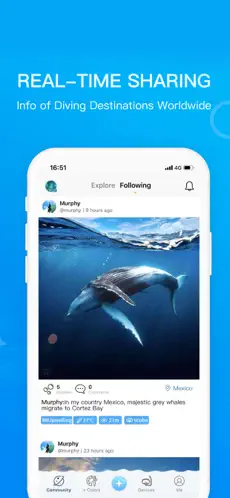 Immagine dello schermo 4 Dive+ La comunidad mundial de iphone