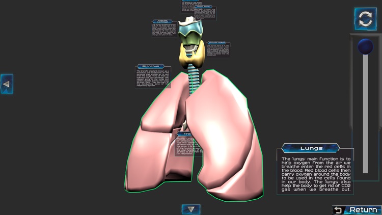 Human anatomy system & parts screenshot-4