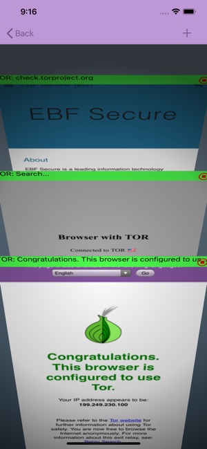 Browser with TOR