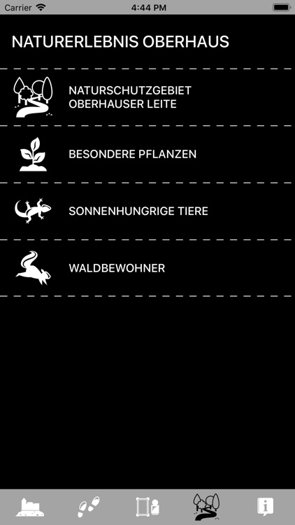 Veste Oberhaus screenshot-3