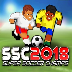 Activities of SSC 2018