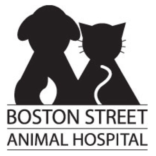 Boston Street Vet