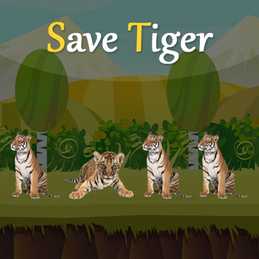 Save The Tigers