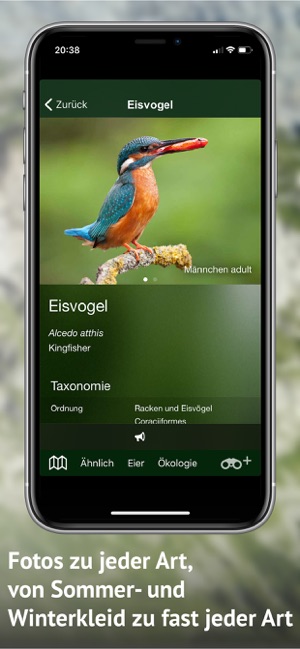 Alle Vögel Schweiz - Fotoguide(圖5)-速報App