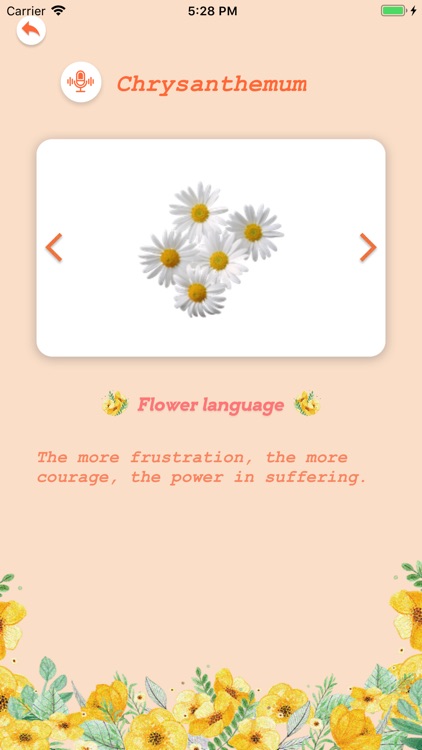 FlowerWords