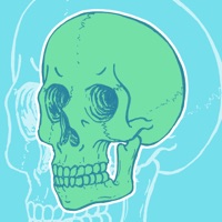 SR Skull Stickers pour PC