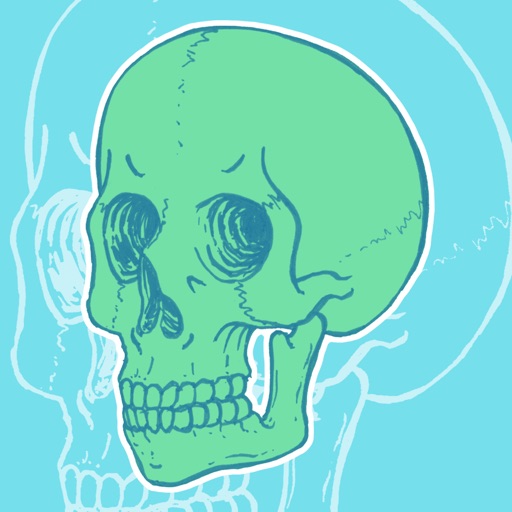 SR Skull Stickers