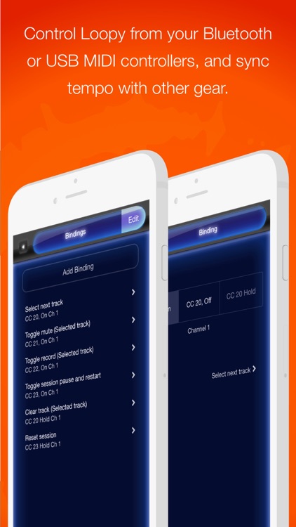 Loopy HD - Live Looper screenshot-4