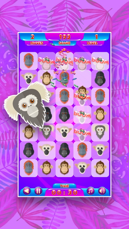 Candy Monkey