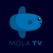 Mola TV