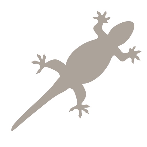 Fieldstone Guide: Reptiles