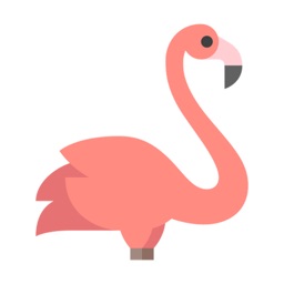 Pink Flamingo