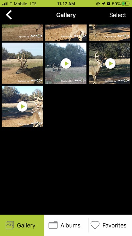 SME Spot Shot Pro screenshot-3