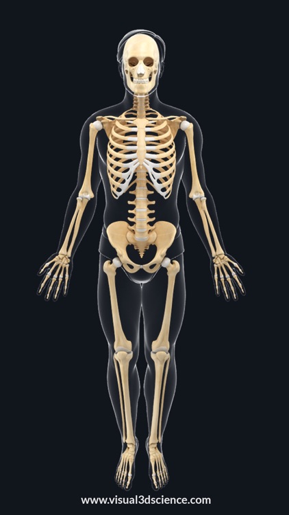 AR Skeleton Anatomy