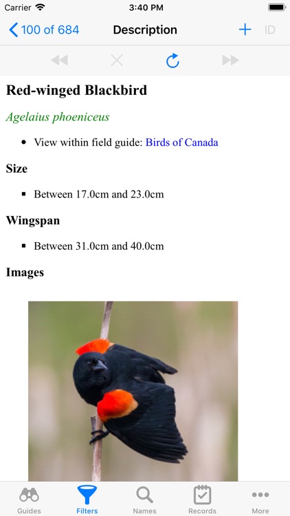 Canadian Birds screenshot-3