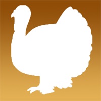 Contacter Turkey Calls