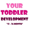 Toddler Development|your guide