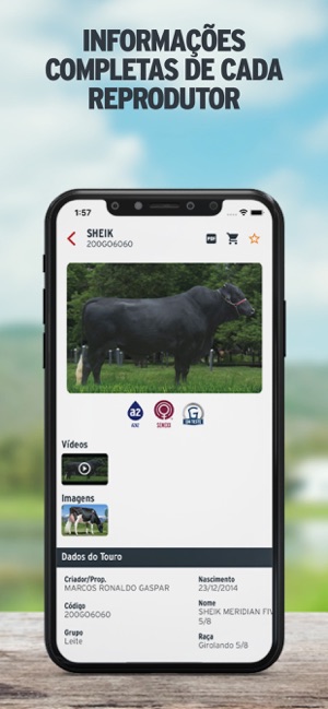 Semex Brasil(圖8)-速報App