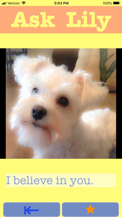 Ask Lily screenshot-7