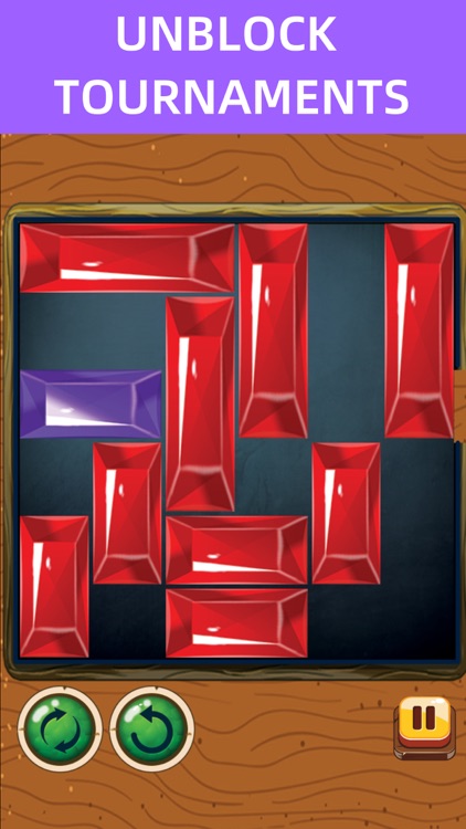 Block Escape Pro Puzzle Game