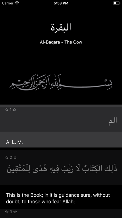 The Noble Quran screenshot 4