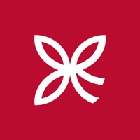 리얼코코