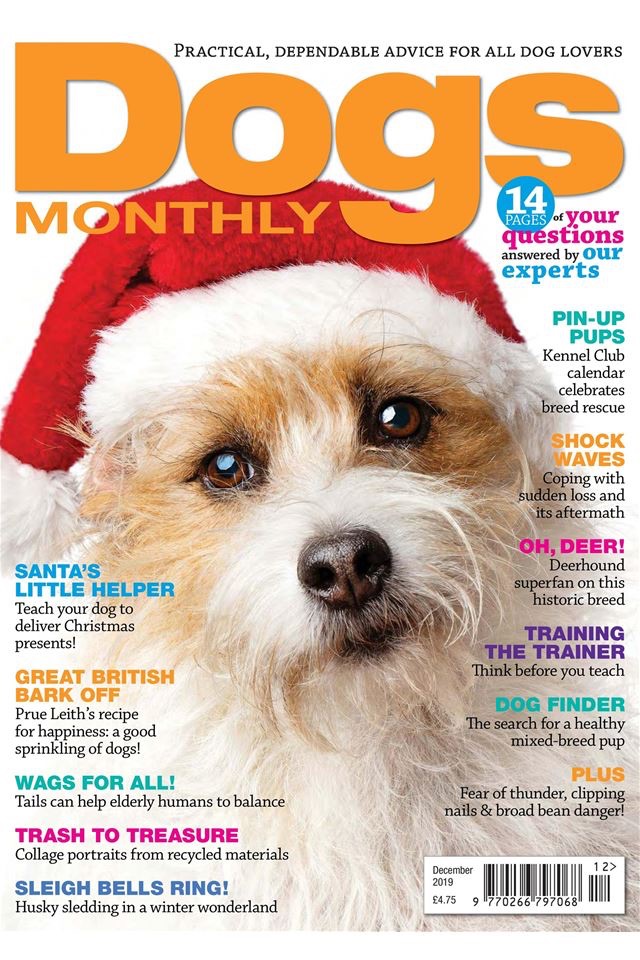 Dogs Monthly Magazine screenshot 4