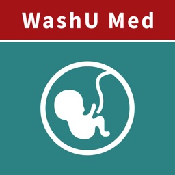 WashU Med OBGYN Guide
