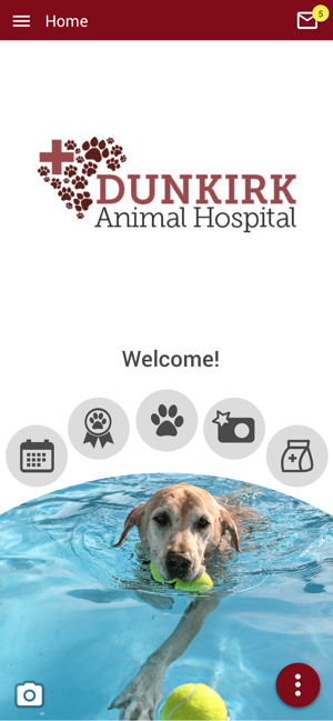 Dunkirk Animal Hospital(圖1)-速報App