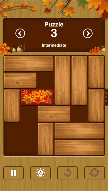 Unblock Me Premium screenshot-5
