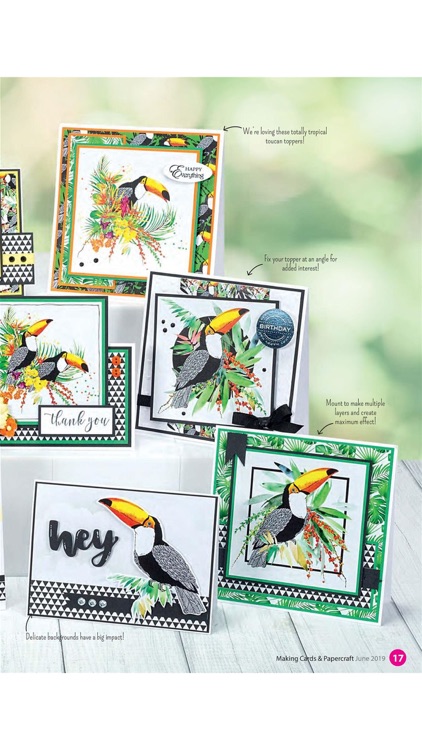 Making Cards & Papercraft screenshot-4