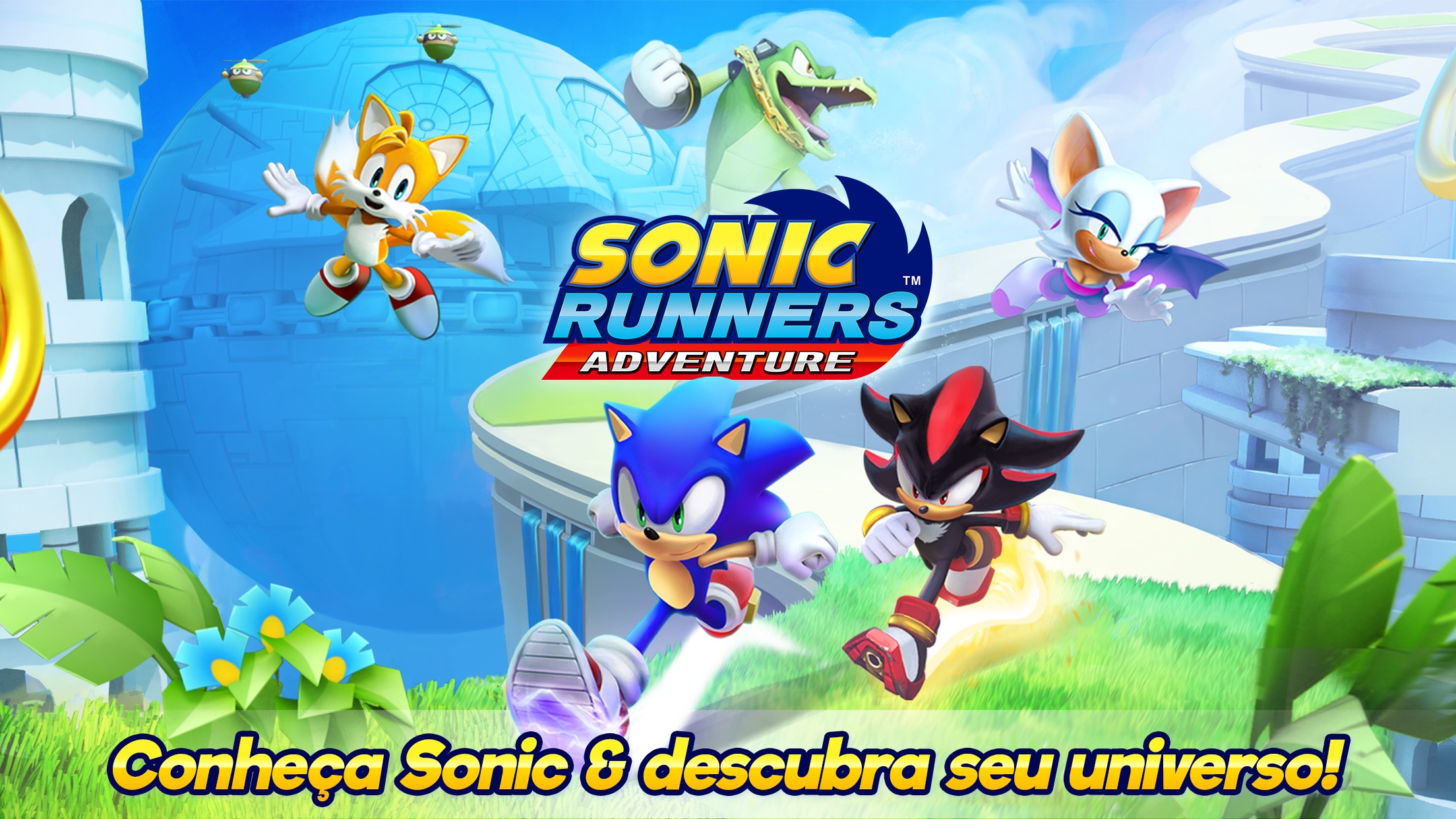 Screenshot do app Sonic Runners Adventure