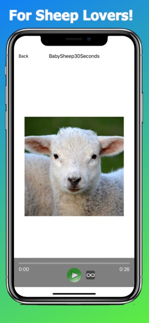 Sheep Sounds + Sheep Noises(圖3)-速報App