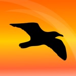VoxTraining Seagull