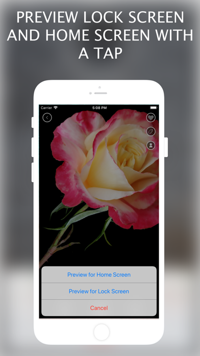 How to cancel & delete Wallpapers for me from iphone & ipad 4