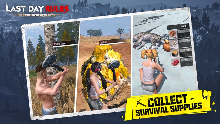 Last Day Rules: Survival