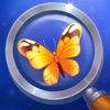 Tiny Things: hidden objects