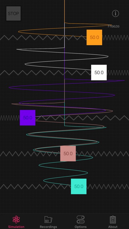 Harmonic Motion