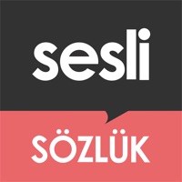 Sesli Sozluk Dictionary ne fonctionne pas? problème ou bug?