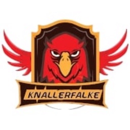 Knallerfalke: Reselling Deals