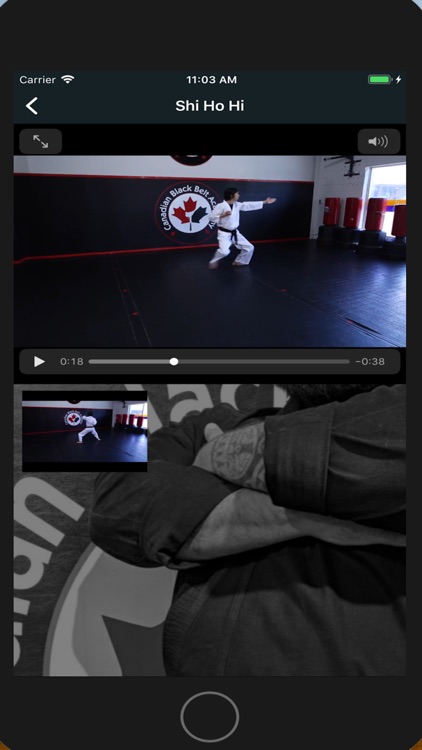 Canadian Black Belt Academy screenshot-3