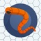 Develop your skills, try to survive as much as you can and become the biggest worm