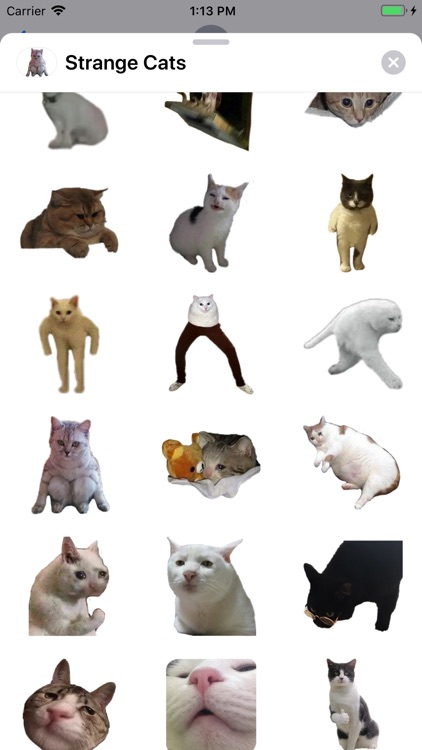 Strange Cats Sticker Pack