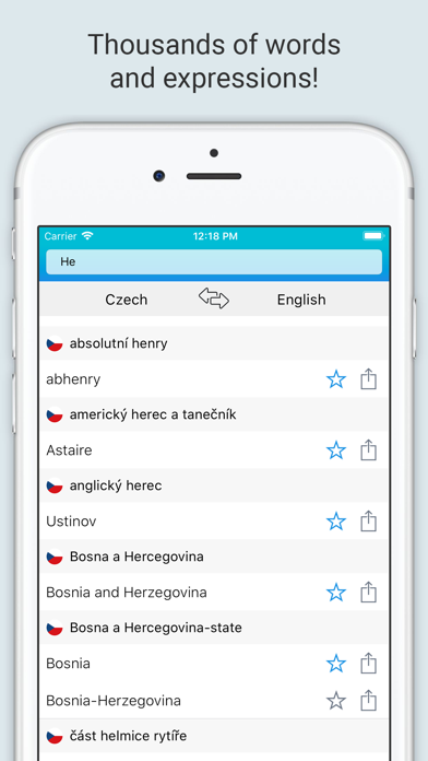 English Czech Dictionary + screenshot 3