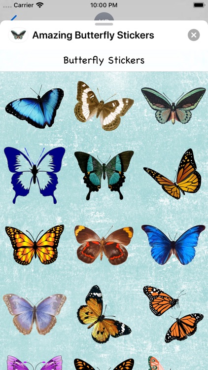 Amazing Butterfly Stickers