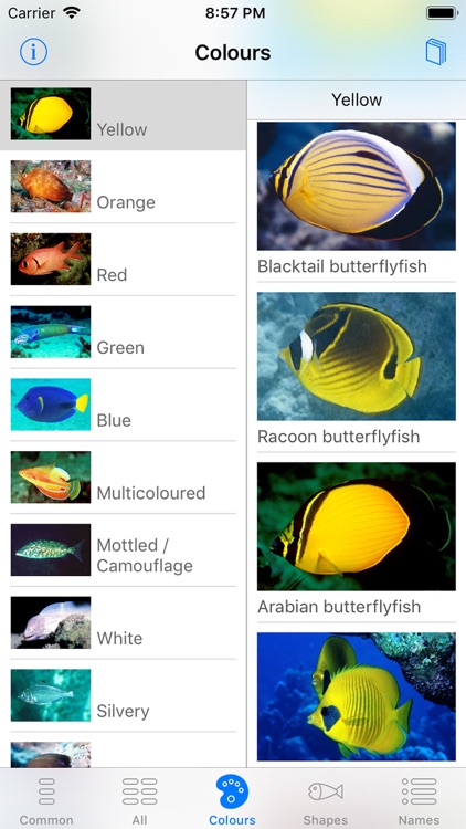Oman Fish ID